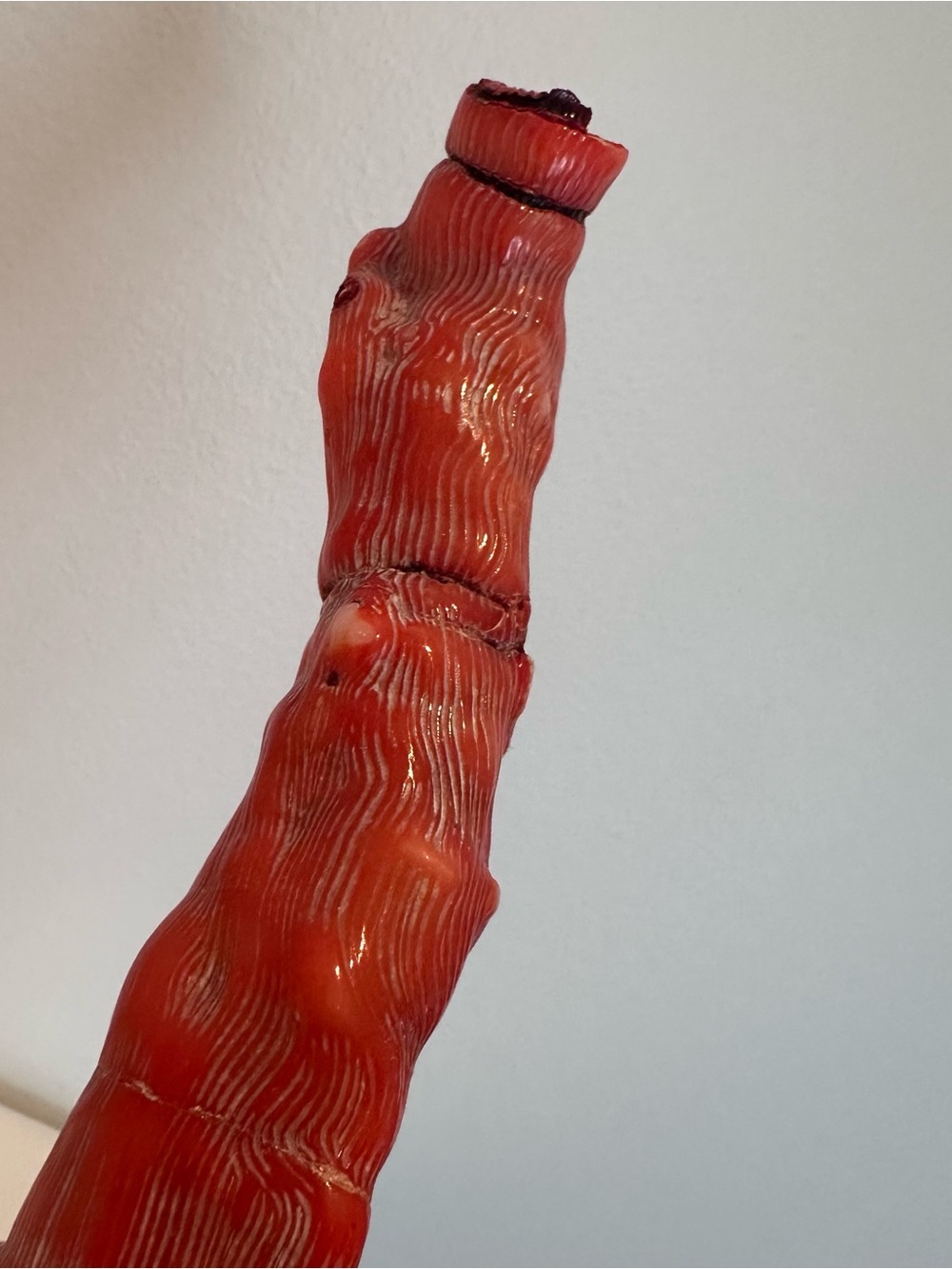 Large Coral Branch - Picture 2 of 16